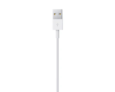 Apple USB-A auf Lightning Kabel (1m)