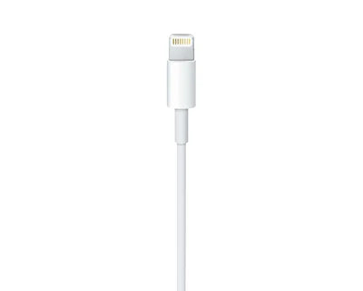 Apple USB-C auf Lightning Kabel (1m)